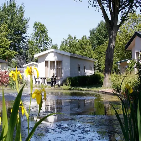 Tent With Bathroom, Near A Recreation Area